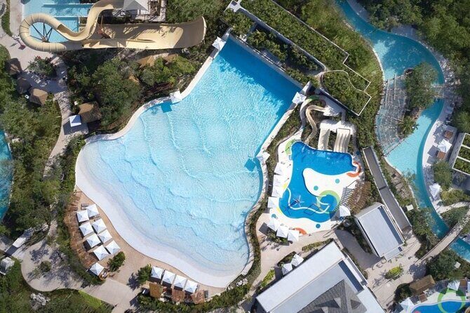 Jungle - Real Traveler Insights