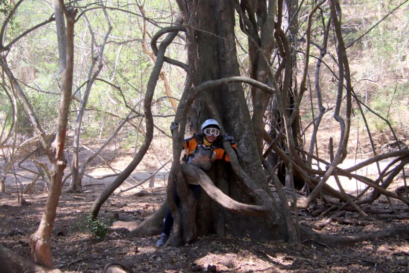 Jungle Hike Tour - Who Should Consider This Tour?