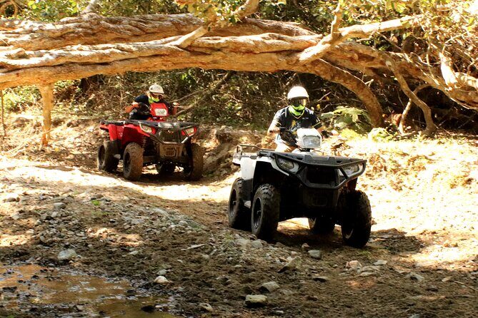 Jungle Single ATV Tour "El Mirador" - What to Expect on the Jungle ATV Tour in Bucerias