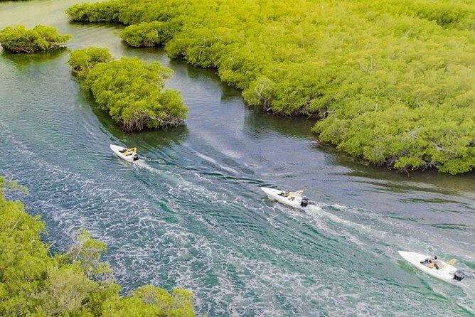 Jungle Tour . Lagoon, Mangrooves & Snorkel for Couples - What You Can Expect from the Jungle Tour: Lagoon, Mangroves & Snorkel