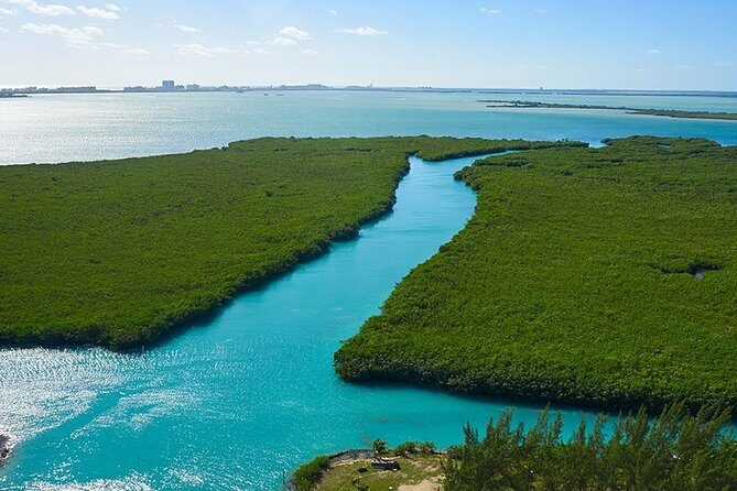 Jungle Tour . Lagoon, Mangrooves & Snorkel for Couples - The Practical Side: What’s Included and What Costs Extra?