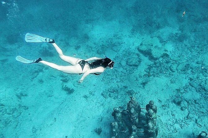 Jungle Tour - Mangroves & Snorkel For Couples - FAQ