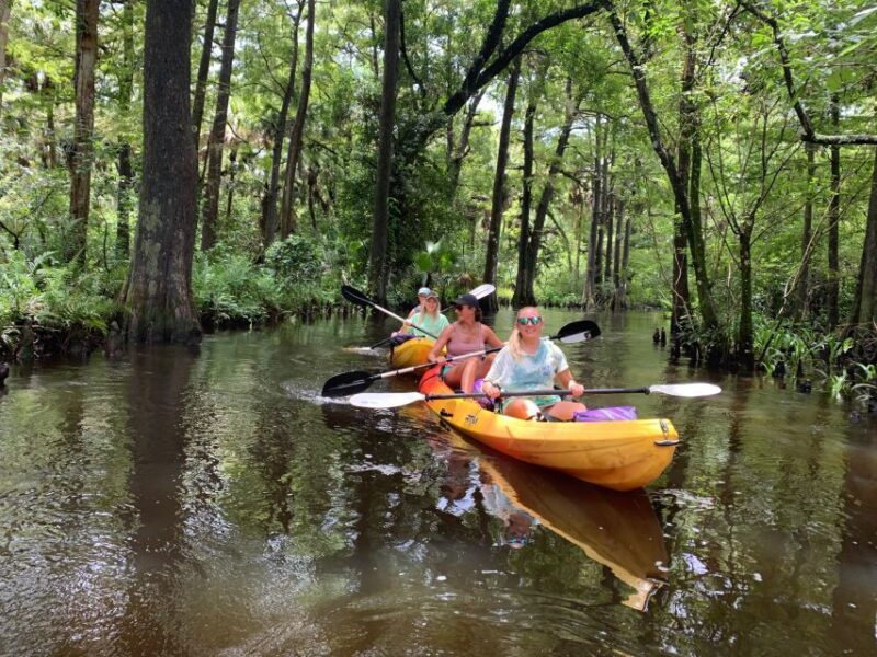 Jupiter: Wild and Scenic Loxahatchee River Kayak Tour - Jupiter: Wild and Scenic Loxahatchee River Kayak Tour
