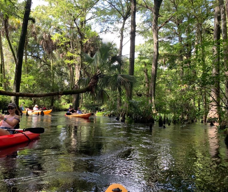 Jupiter: Wild and Scenic Loxahatchee River Kayak Tour - The Experience Itself and What to Expect