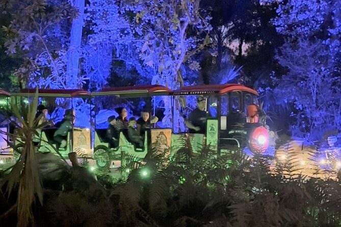 Jurassic Haunt at Dinosaur World - Considerations before booking