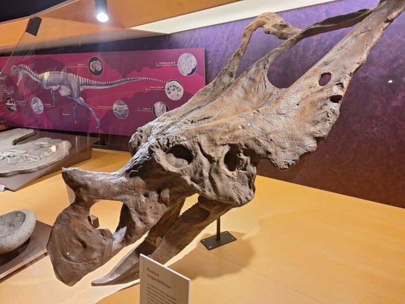 Jurassic Museum of Asturias Guided Tour from Oviedo - A Closer Look at the Tour Experience