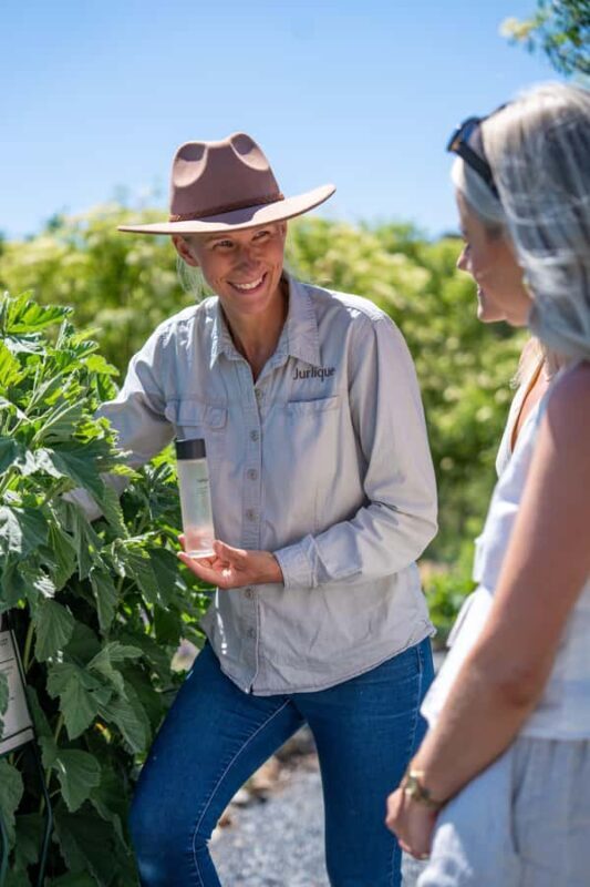 Jurlique Handpicked Masterclass - Key Points