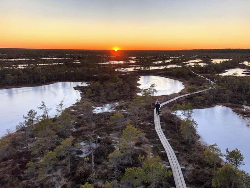 Jurmala: Kemeri National Park Sunset Trip - Who Should Consider This Tour?