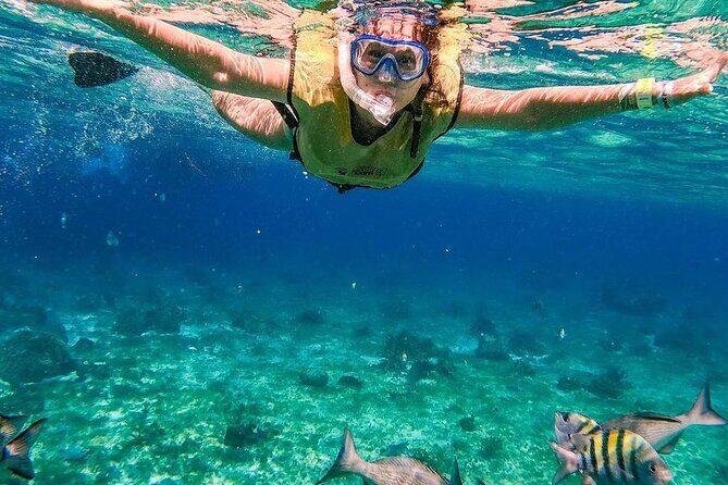 Kaan Luum Lagoon and Cenote Snorkel Tour in Tulum - A Closer Look at the Itinerary