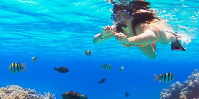 Ka'anapali Beach: Coral Reef Snorkel and Turtle Spotting - Key Points