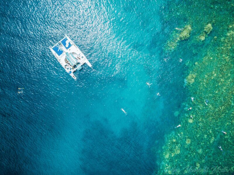 Ka'anapali Beach: Coral Reef Snorkel and Turtle Spotting - Final Thoughts