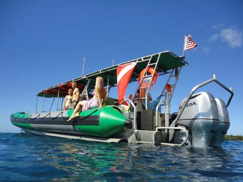 Ka'anapali: Whale Watching Boat Tour - The Experience: Setting Sail from Kaanapali