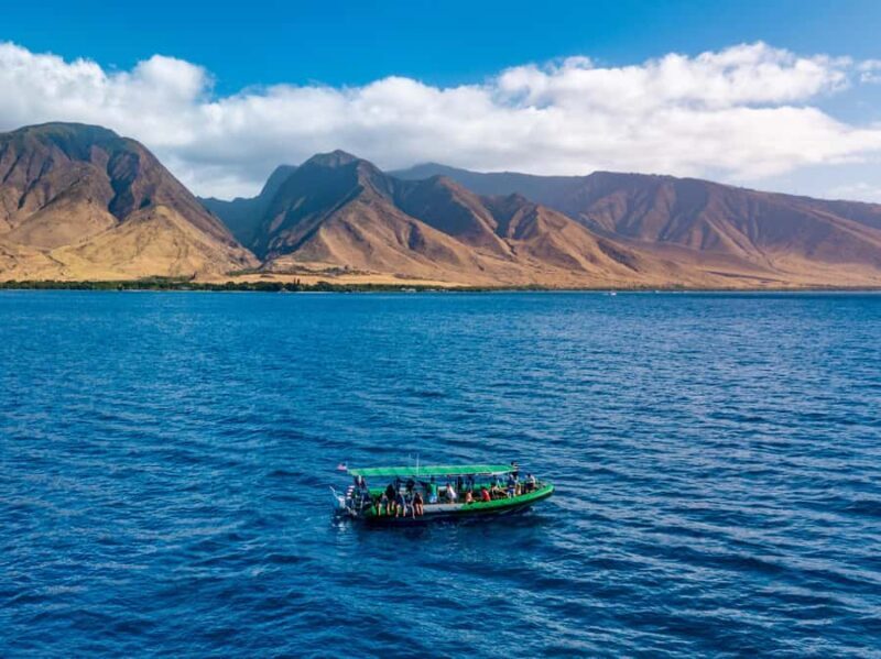 Ka'anapali: Whale Watching Boat Tour - The Naturalist Guides Make a Difference