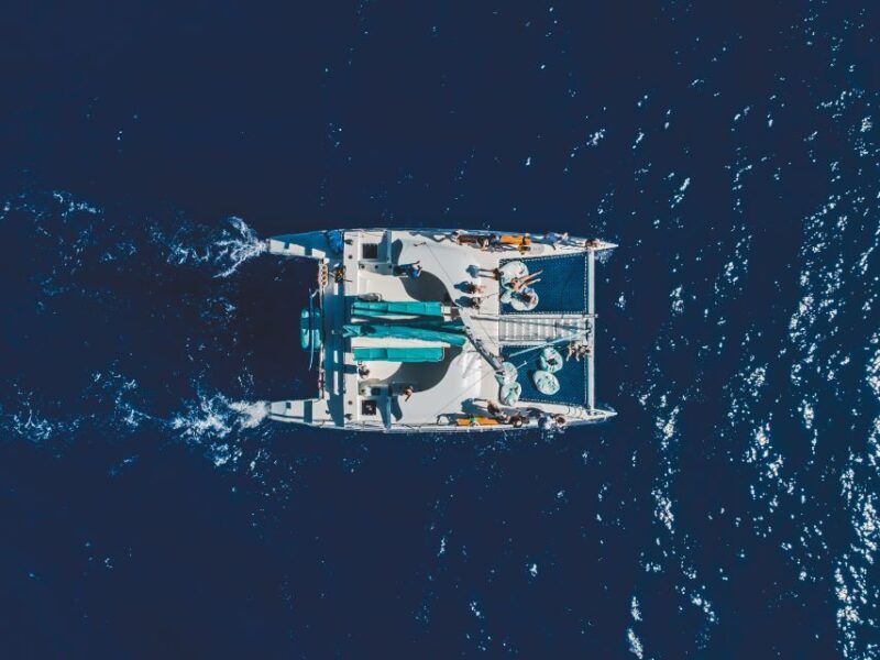 Kaanapali: Whale Watching Cruise with Open Bar - An Honest Look at the Whale Watching Experience