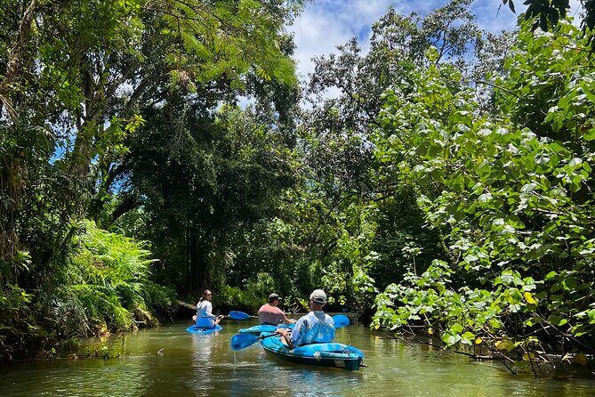 Kahana Bay River to Ocean: Kayak and Stand Up Paddle Board Rental - Practical Tips and Considerations