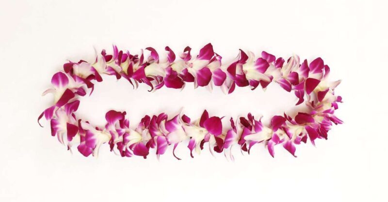 Kahului Airport: Maui Flower Lei Greeting Upon Arrival - Who Should Consider This?