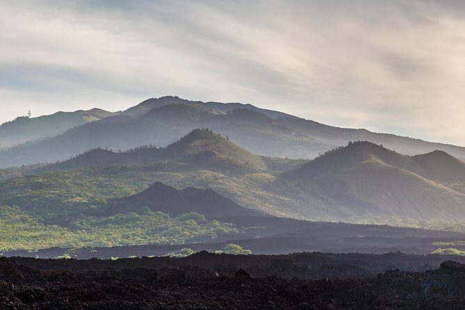 Kahului Shore Excursion: Private Tropics of Maui & Rainforest - Who Is This Tour Best For?