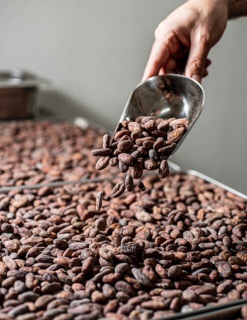 KAIACAO Bean to Bar and Design your own chocolate experience - Analyzing the Price and Value