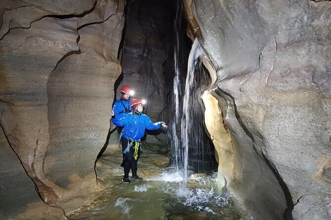 Kaikoura Albatross Encounter Tour from Christchurch - Who Is This Tour Best For?