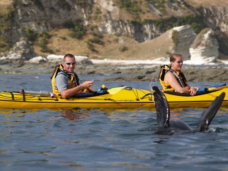 Kaikoura: Half-Day Wildlife Kayaking Tour - Who Should Consider This Tour?