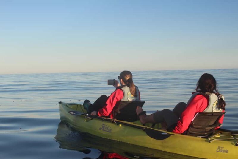 Kaikoura: Seal-Watching Pedal Kayak Tour - The Guides and Their Role