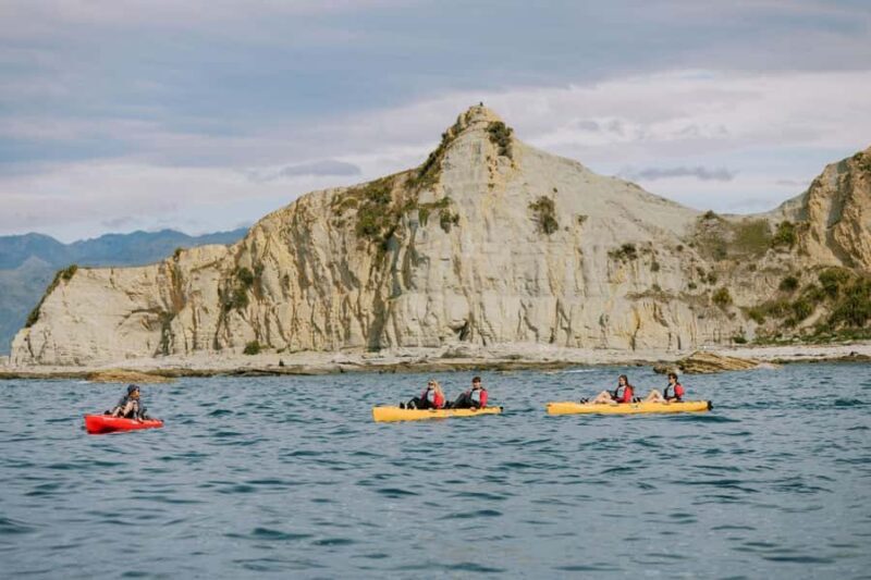 Kaikoura: Seal-Watching Pedal Kayak Tour - Logistics and Practicalities
