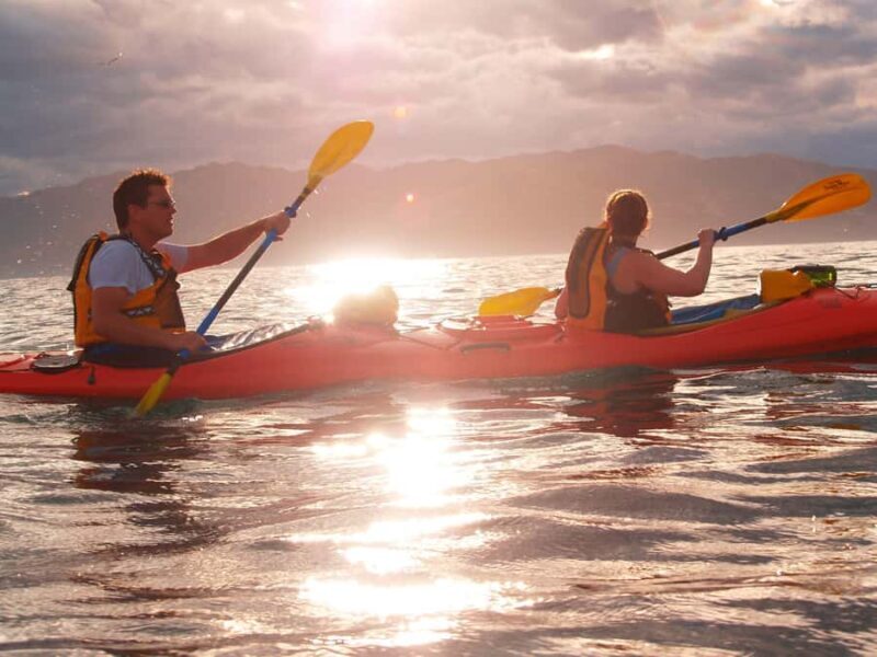 Kaikoura: Sunset Evening Kayaking Tour - The Itinerary: How the Evening Unfolds