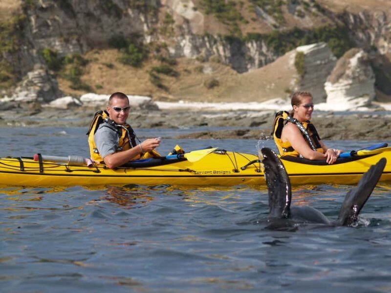 Kaikoura: Sunset Evening Kayaking Tour - Real Experiences from Travelers