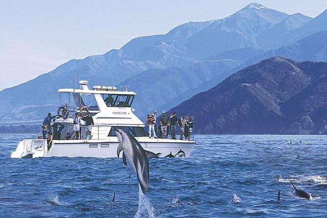 Kaikoura Swim with Dolphins Tour from Christchurch - What to Expect on the Tour