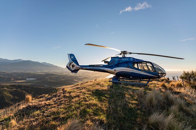 Kaikoura Whale Watching - 45 Minute Ocean Safari - In The Sum Up: Is It Worth It?
