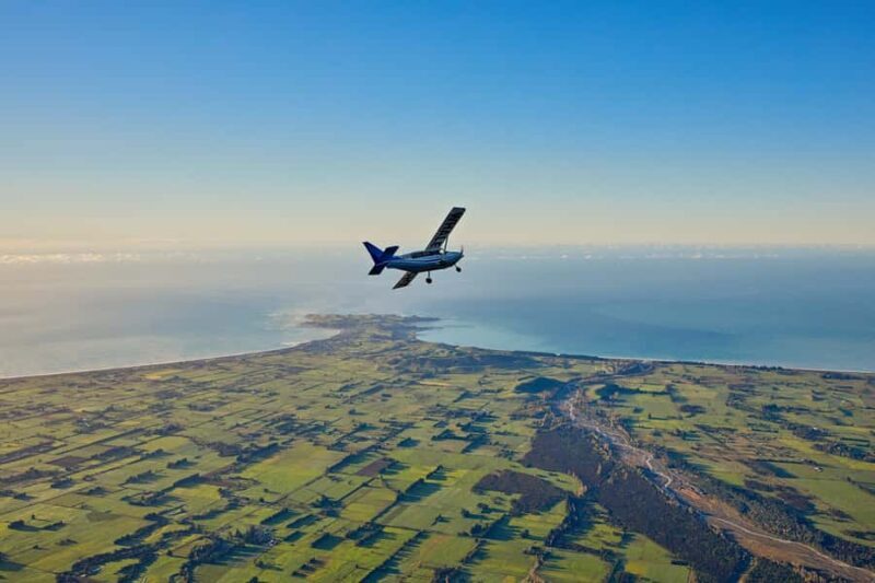 Kaikoura: Whale Watching Flight with Guided Commentary - What to Expect from the Experience