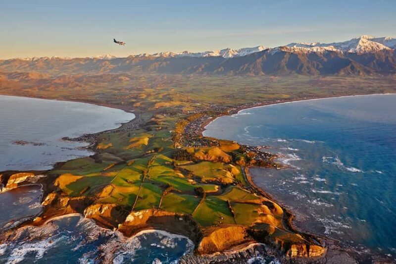 Kaikoura: Whale Watching Flight with Guided Commentary - Value and Cost Considerations