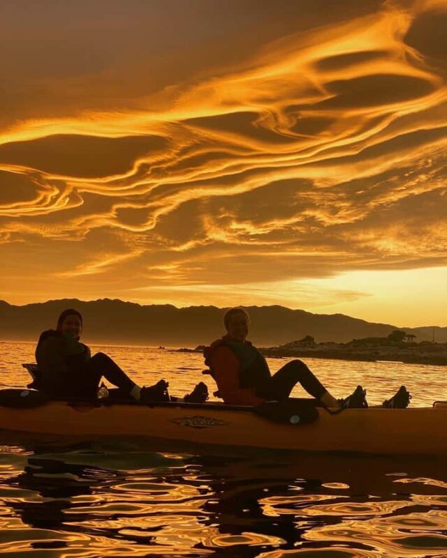 Kaikura: Kayak Sunset Tour with Seal Sightings - Price and Value