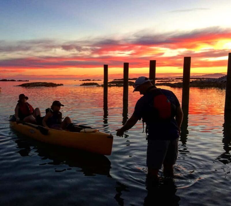 Kaikura: Kayak Sunset Tour with Seal Sightings - Final Thoughts