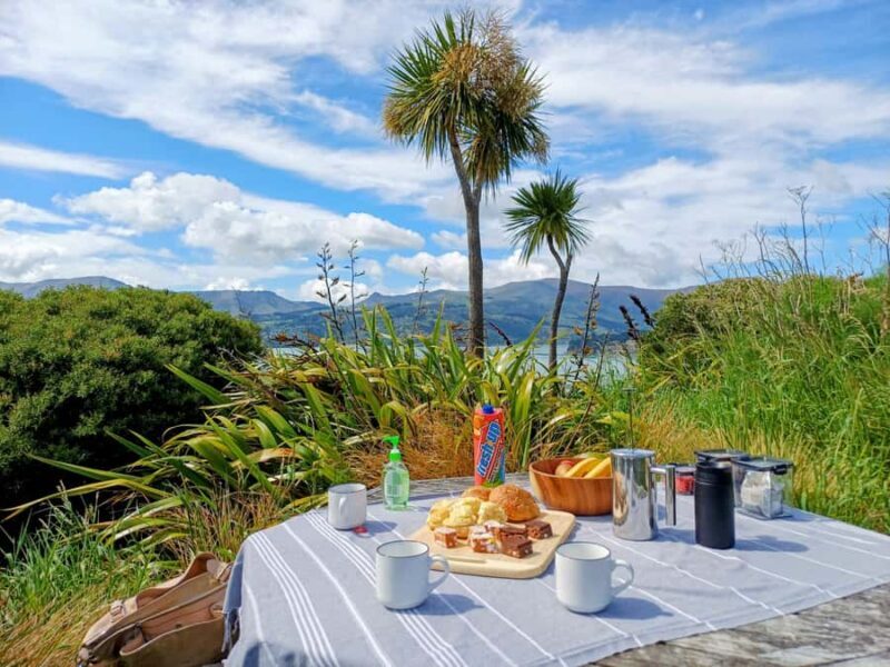 Kaikura: Small Group Tour- optional Whale, Dolphin, Zipline - Exploring the Kaikoura Coast: What to Expect