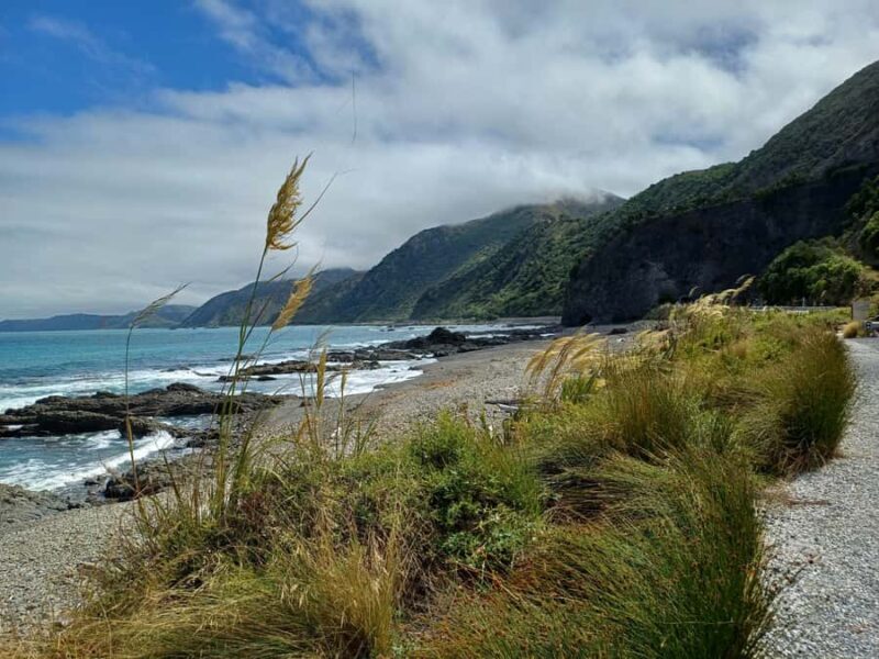 Kaikura: Small Group Tour- optional Whale, Dolphin, Zipline - Who Should Consider This Tour?
