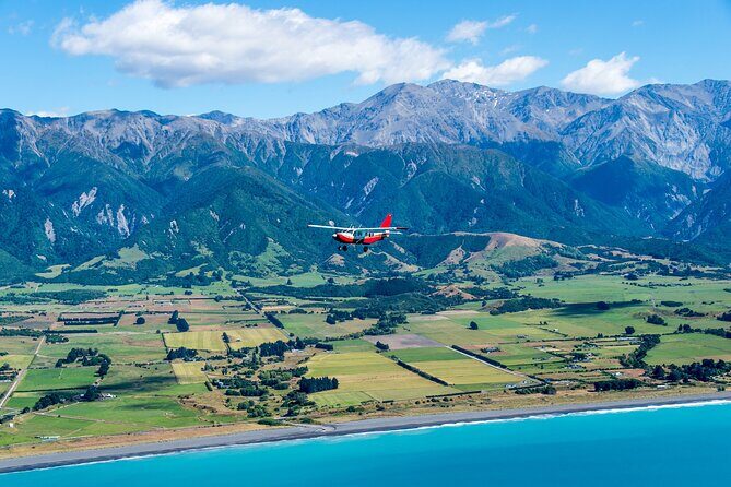 Kaikura Whale Watching Scenic Flight (40 Minutes) - FAQs