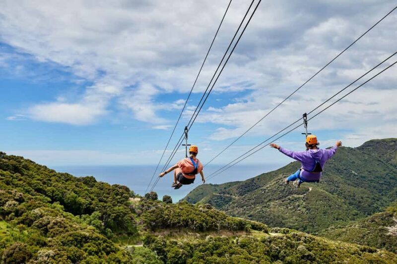 Kaikura: Zipline and Native Forest Adventure Trip - Key Points