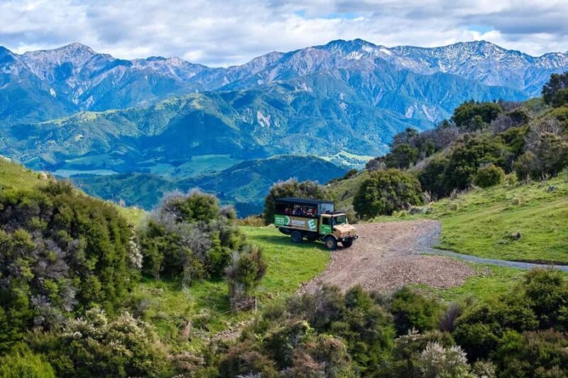 Kaikura: Zipline and Native Forest Adventure Trip - A Look at the Experience