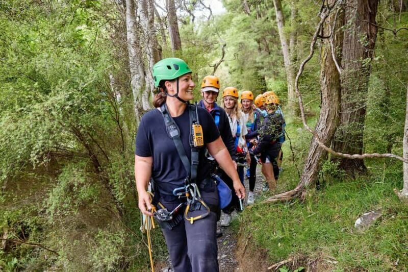 Kaikura: Zipline and Native Forest Adventure Trip - Price and Value