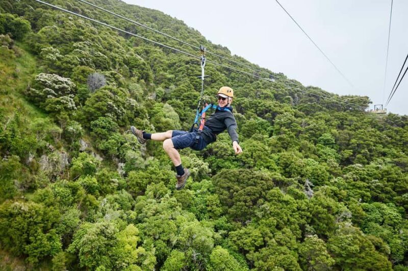 Kaikura: Zipline and Native Forest Adventure Trip - Final Thoughts