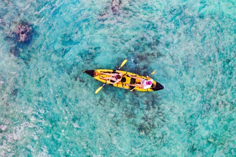 Kailua Bay & Popoia Island Self-Guided Kayaking - Who Is This Tour Best For?