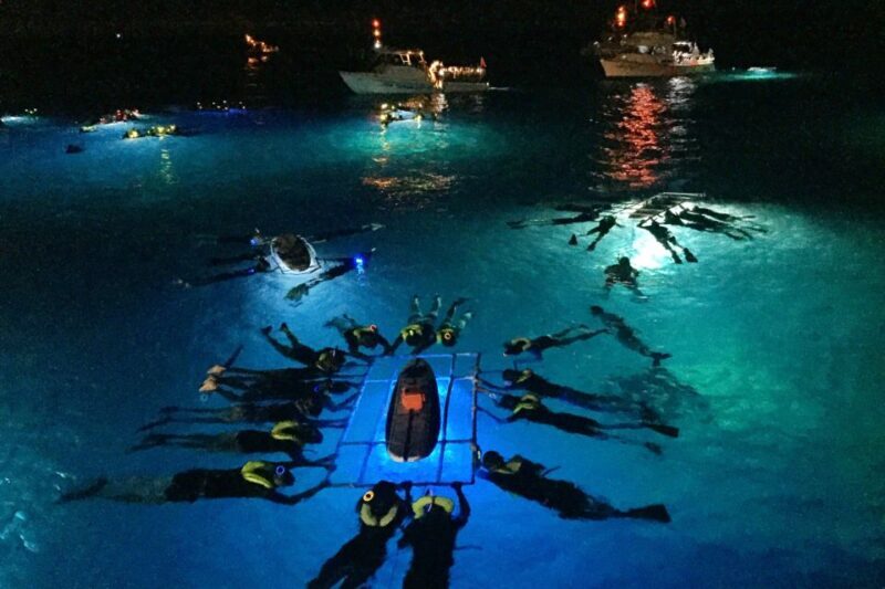 Kailua Kona: Night Manta Ray Adventure on the Big Island - What Makes This Tour Stand Out?