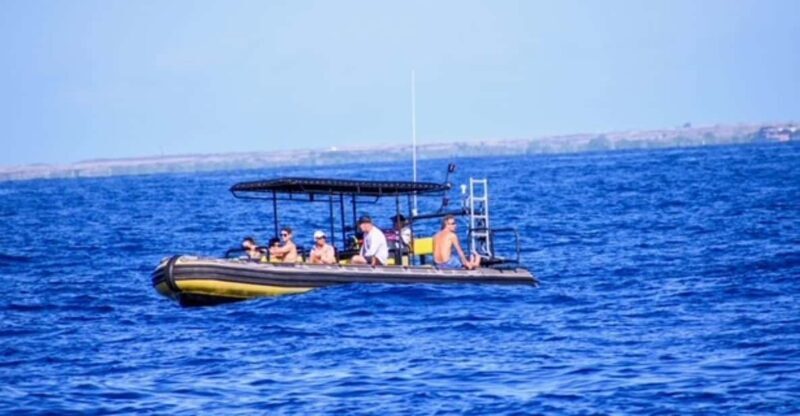 Kailua-Kona: Private Marine Charter Adventure - What’s Included and What’s Not
