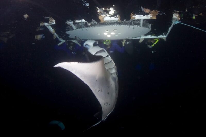 Kailua-Kona: Private Marine Charter Adventure - FAQ