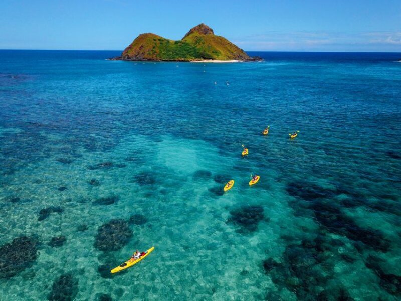 Kailua: Mokulua Islands Guided Kayak and Snorkeling Tour - Snorkeling and Marine Life