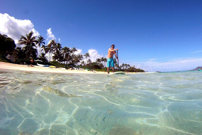 Kailua Stand Up Paddle Boarding Lesson - The Experience for Different Travelers