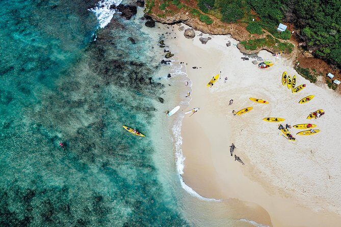 Kailua Twin Islands Guided Kayak Tour, Oahu - What to Expect from the Tour