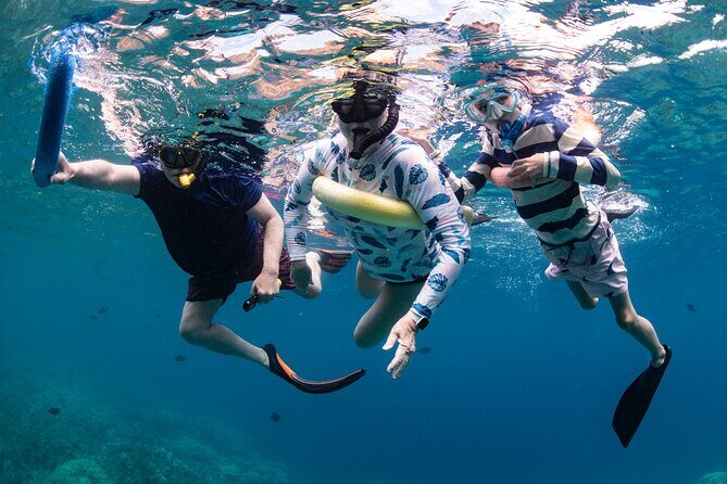Kaimana Kealakekua Bay Captain Cook Adventure - An In-Depth Look at the Kaimana Kealakekua Bay Tour