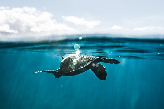 Kaimana Kealakekua Bay Captain Cook Adventure - FAQ